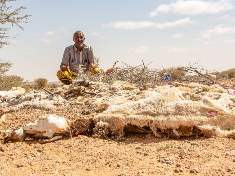 village in somalia
